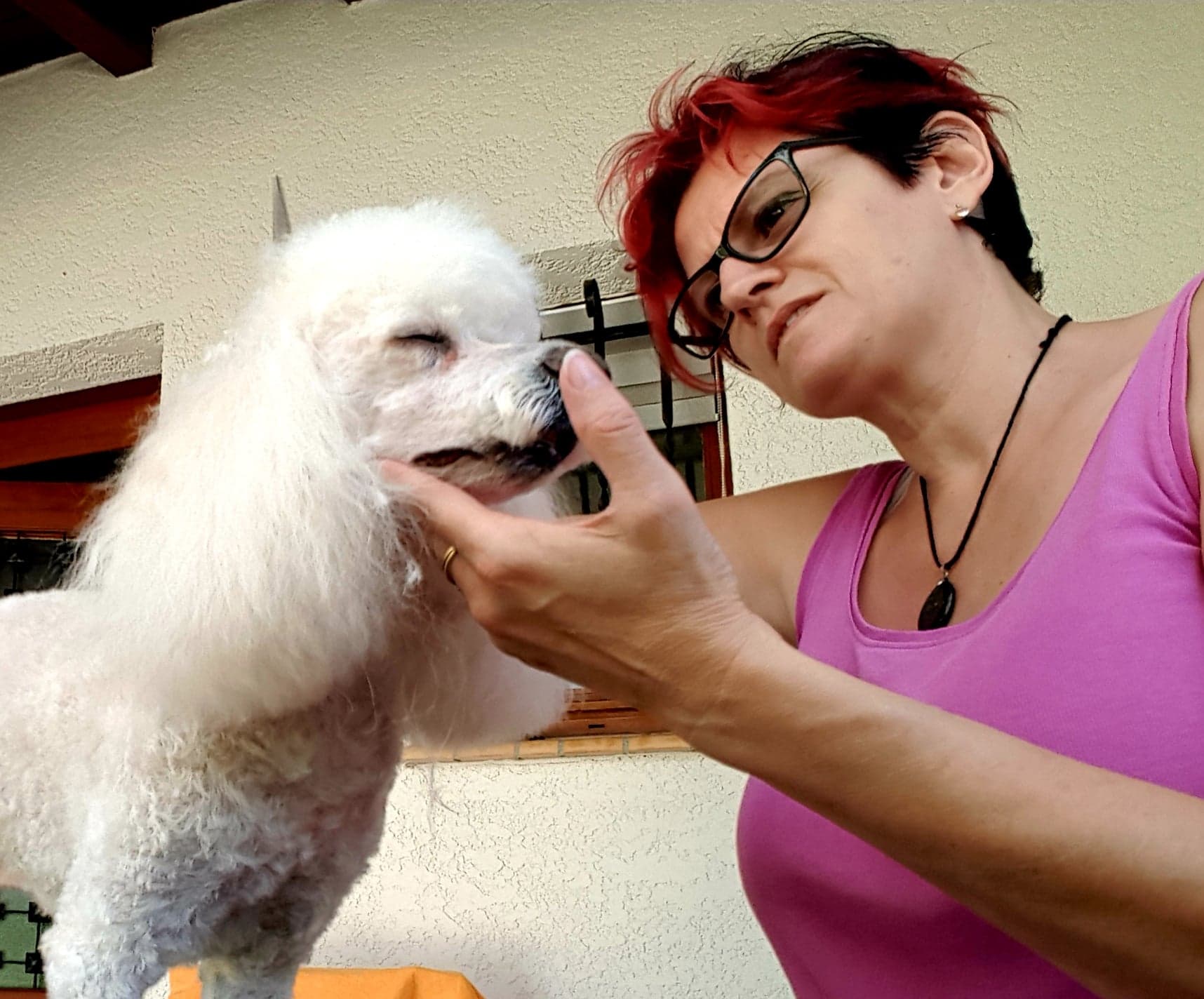 isabelle vanbelle toiletteuse domicile montpellier